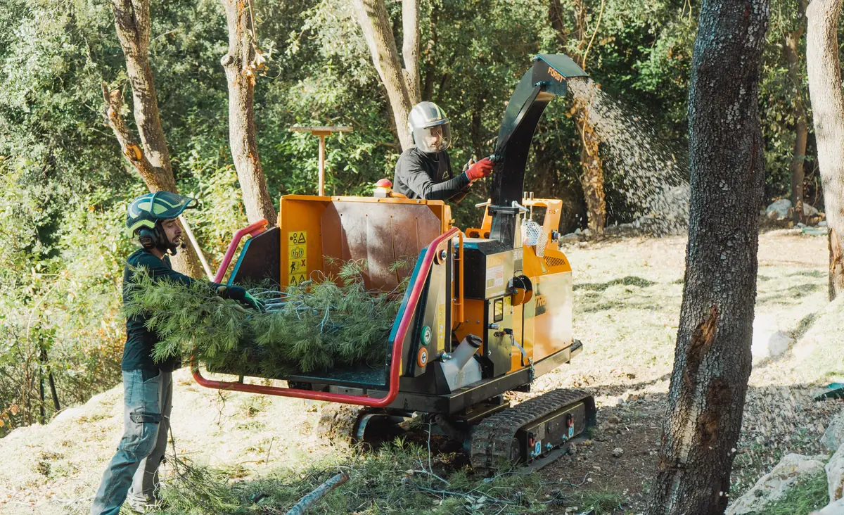 Broyage des branches sur place avec un broyeur sur chenilles