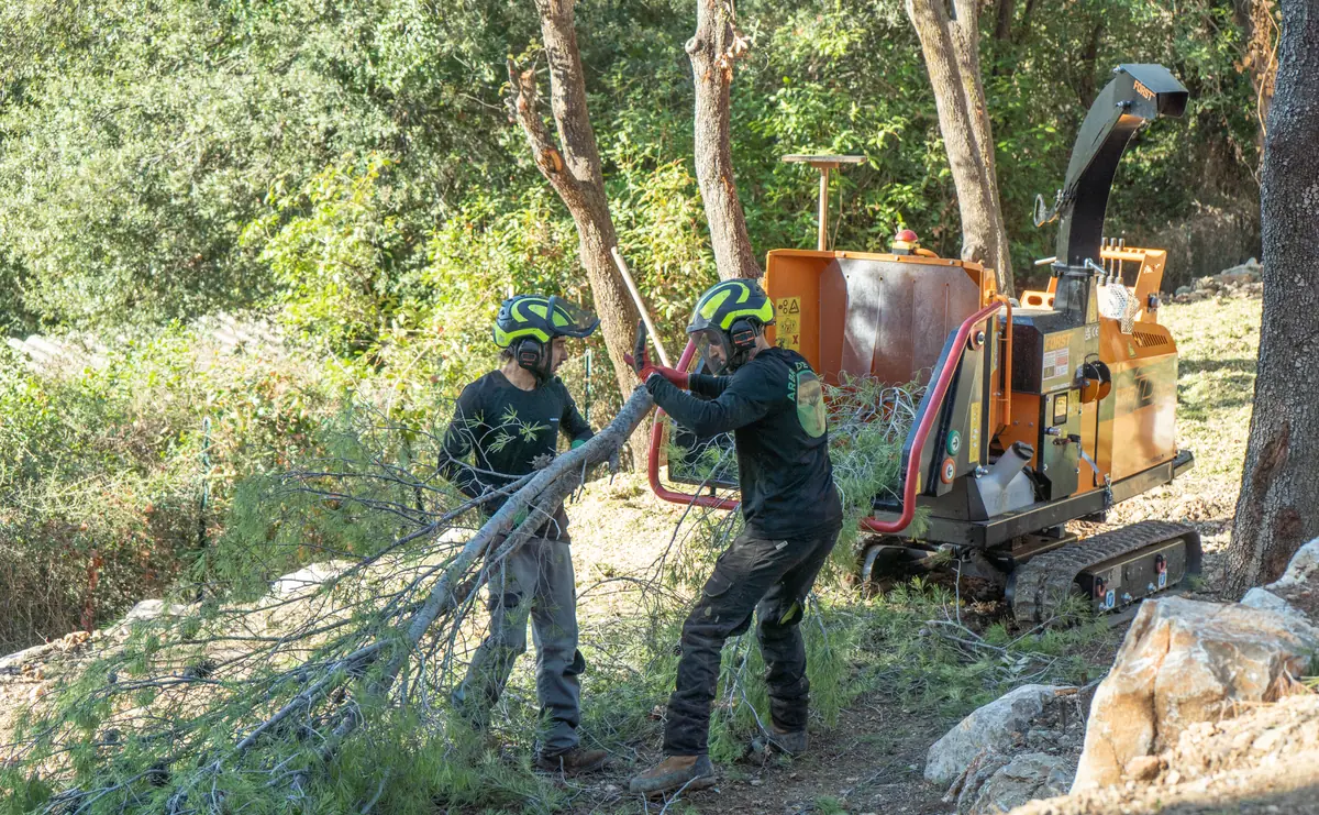 L’équipe évacue les branches coupées vers le broyeur